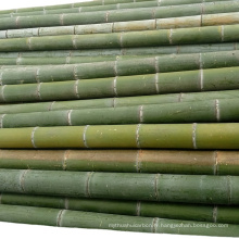 Meilleure vente en gros de poteaux de bambou brut de haute qualité à bas prix